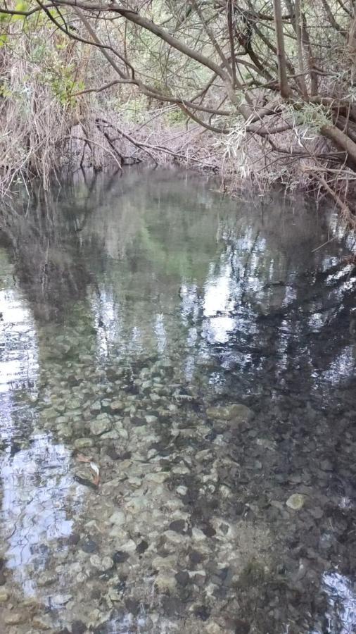 Hostal Restaurante Andra Rio Madera Kültér fotó