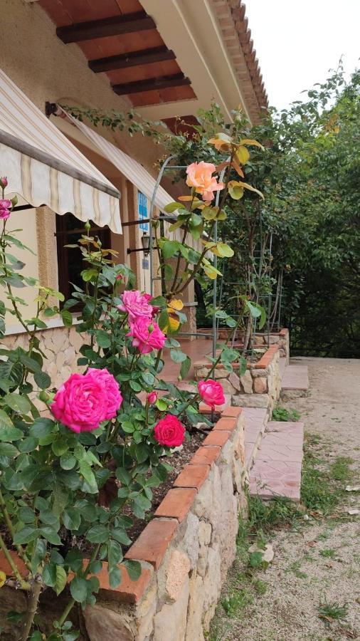 Hostal Restaurante Andra Rio Madera Kültér fotó